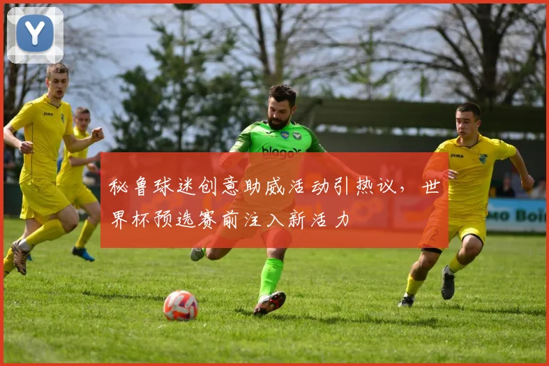 秘鲁球迷创意助威活动引热议，世界杯预选赛前注入新活力