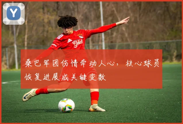 桑巴军团伤情牵动人心，核心球员恢复进展成关键变数